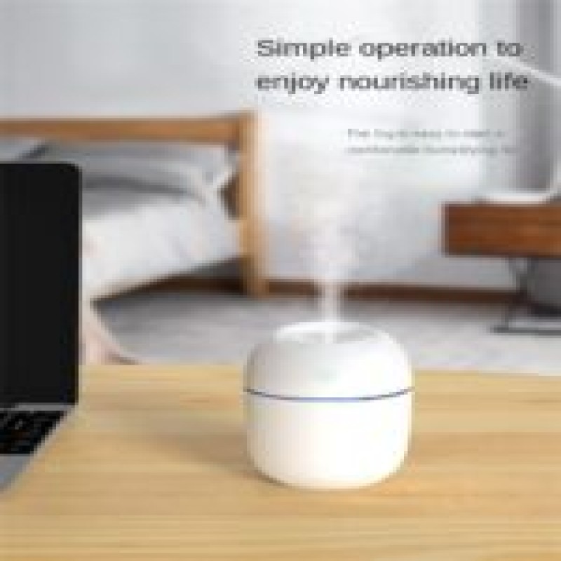 Portable Mini Humidifier.220ml Small Cool Mist Humidifier
