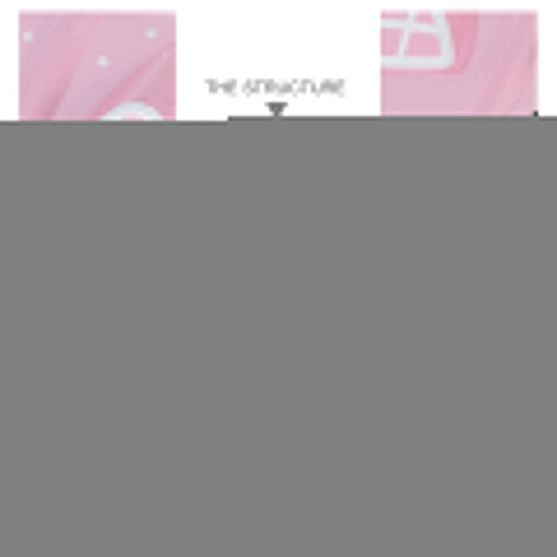 Cute House Shape Money Box