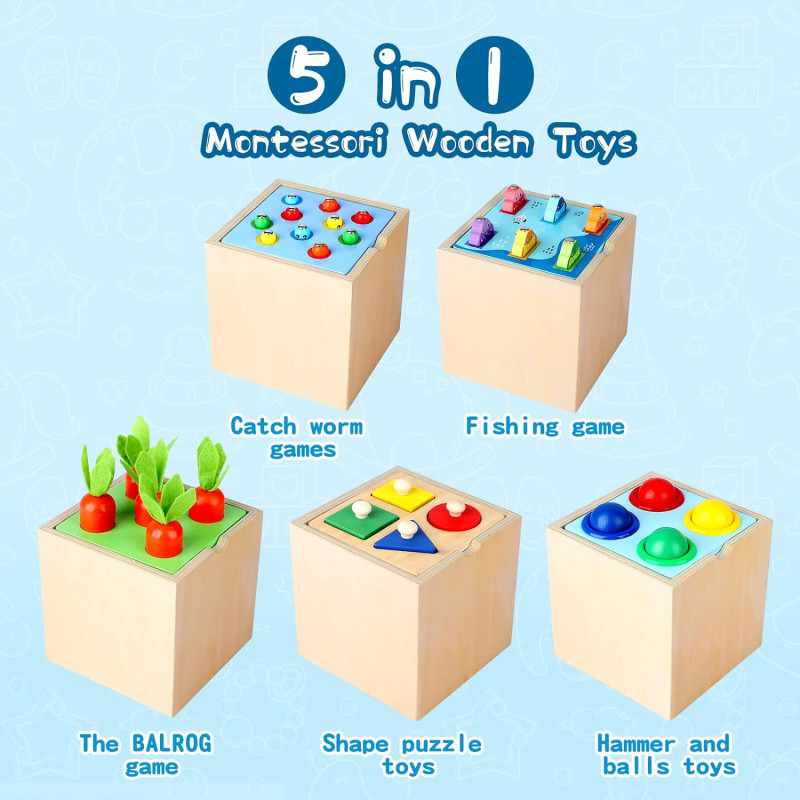 5 in 1 Wooden Montessori Toy