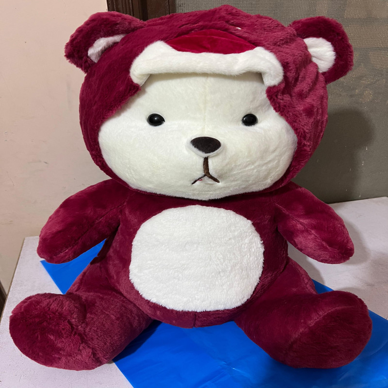 Cute Red Teddy Bear Plush with Detachable Hat – Soft Toy for Kids & Gifts