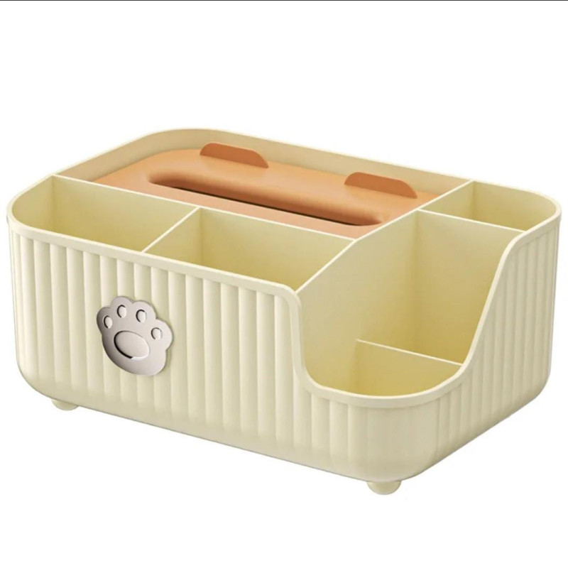 Multifunctional Tissue Box with Storage