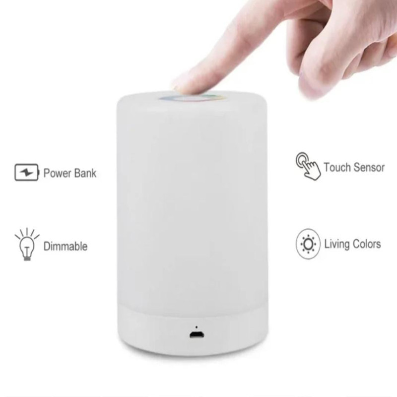Multicolor Touch Lamp