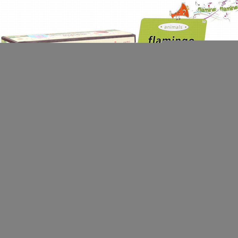 Learning English Flash Card Reader Machine