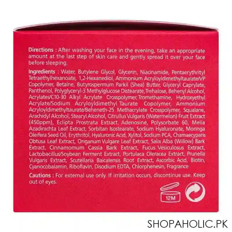 Ariul Watermelon Hydro Vital Sleeping Face Mask, 80ml