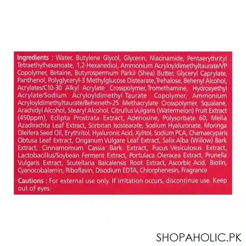 Ariul Watermelon Hydro Vital Sleeping Face Mask, 80ml