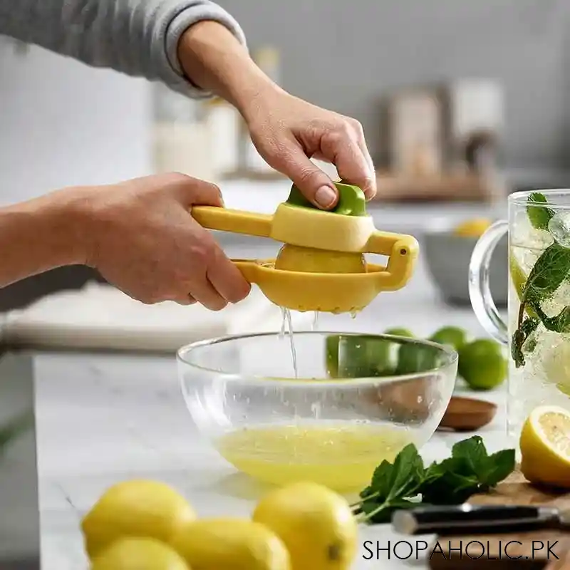 Dual-action Lemon Citrus Press