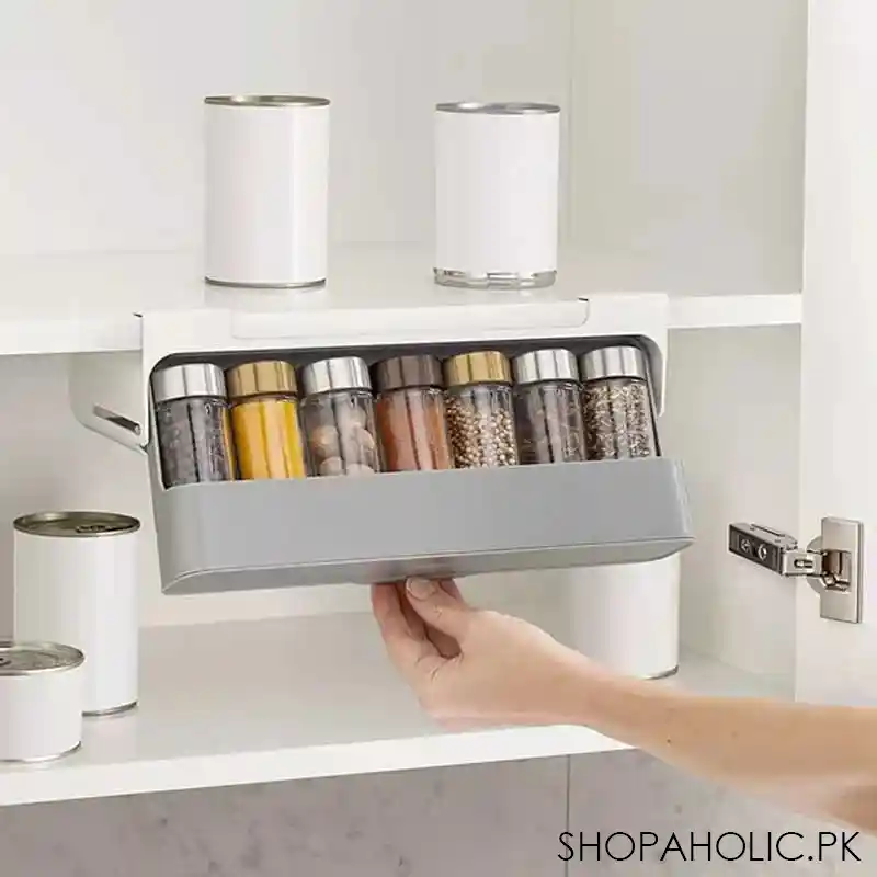Kitchen Cupboard Store Under Shelf Spice Rack