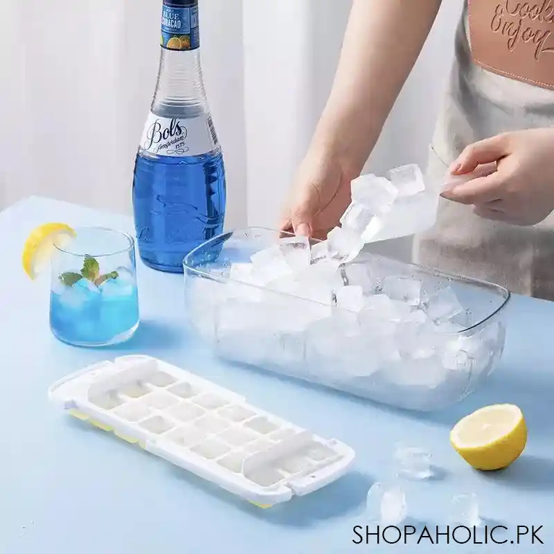 Press Type Ice Cube Maker