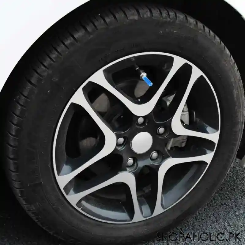(Set of 2) Flash LED Wheel Light
