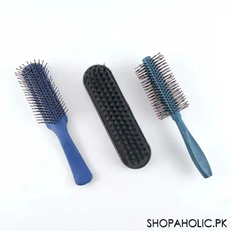(Set of 3) Classic Hair Brush Roller and Shoe Brush