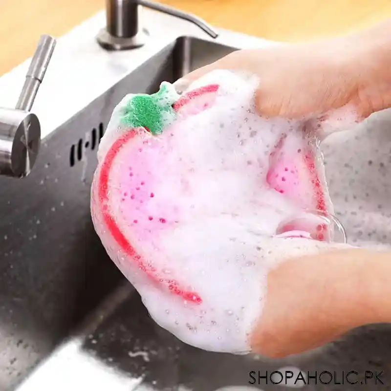 Fruit Shaped Dishwashing Sponges (Random)