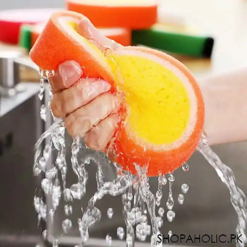 Fruit Shaped Dishwashing Sponges (Random)