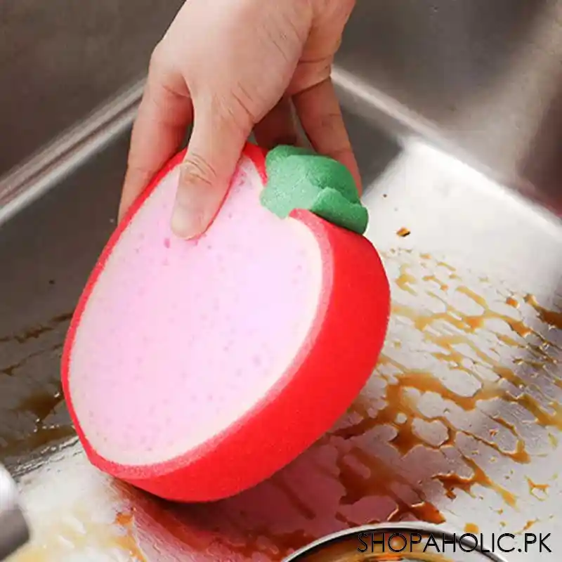 Fruit Shaped Dishwashing Sponges (Random)