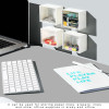 Multifunctional Wall Mounted Flip Storage Box (1Pc)