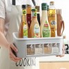 Condiment Storage Box
