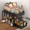 Sliding Seasoning Shelf Double-Layer Multifunction Kitchen Storage Rack Home Accessories