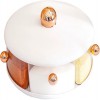 360° Rotating Large Capacity Spice Seasoning Box