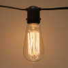 HS Edison Bulb