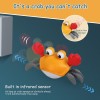 Crawling Musical Crab Fun Interactive Sensory Toy