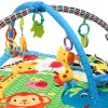 Tinnies Baby Play Gym-T704