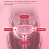 Period Cramp Relief Belt & Massager