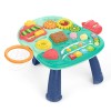 Huanger 2 in 1 Electronic Walker For Toddlers Music Entertainment and Activity