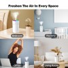 Car Humidifier
