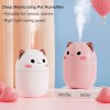 Cat Humidifer H2o