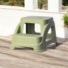 New Double Step Stool