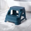 New Double Step Stool
