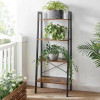 The Plant Bookcase Living Room Organizer Rack by Metallics Home