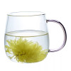 Trendy Glass Set-pack of 4