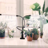 USB Grow Light Phyto Lamp Plants Full Spectrum Fitolamp Lights