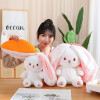 35CM Rabbit Plush Toy – Cute Soft Bunny Stuffed Toy