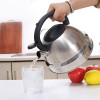 5 LTR Stainless Steel Whistling Kettle