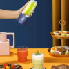 6 Blades Usb Juicer With 300ml Glass