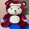 Cute Red Teddy Bear Plush with Detachable Hat – Soft Toy for Kids & Gifts