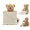 Peekaboo Hide And Seek Teddy Bear