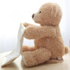 Peekaboo Hide And Seek Teddy Bear