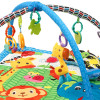 Tinnies Baby Play Gym-T704
