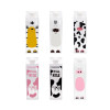 Creative Square Plastic Bottle