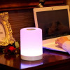 Multicolor Touch Lamp