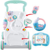 Baby Activity Walker