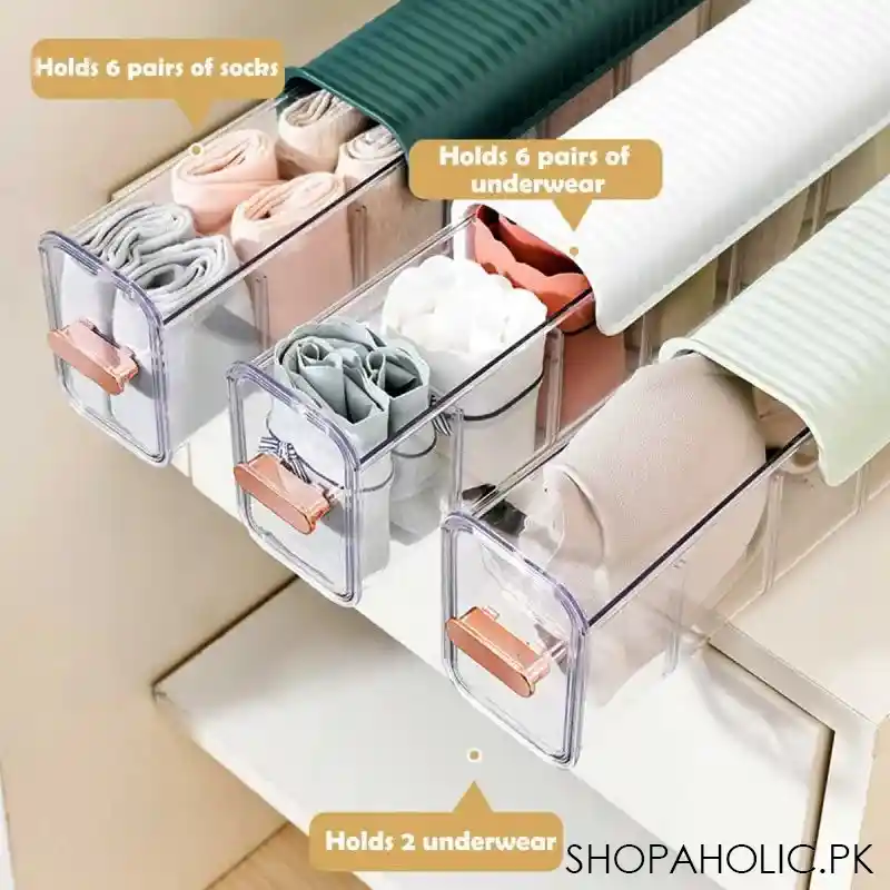 Wall Hanging Transparent Undergarments Storage Box Organizer